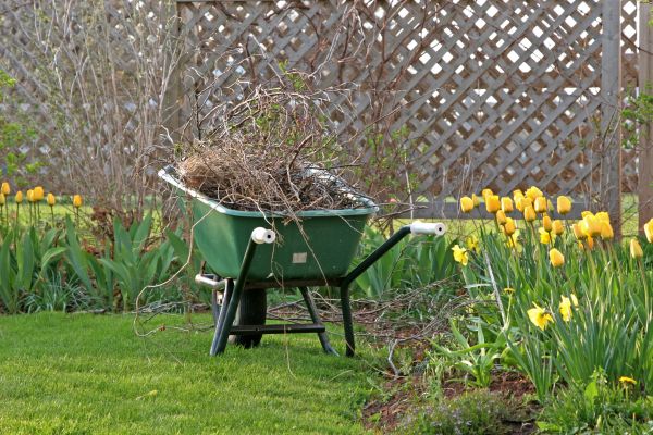 Flower Bed Cleanup Service in Livonia