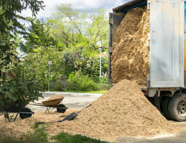 Wood Chips Delivery in Livonia
