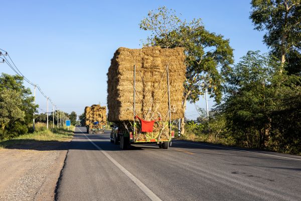 Pine Straw Delivery in Livonia
