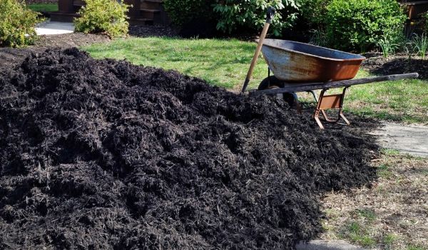 Black Mulch Delivery in Livonia