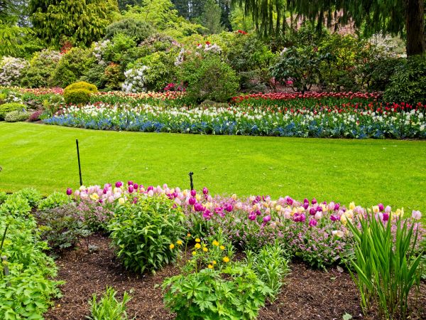 Residential Landscape Design in Livonia
