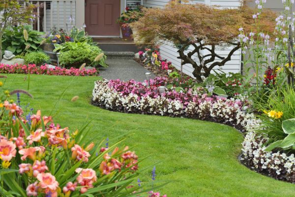 Perennial Landscaping in Livonia