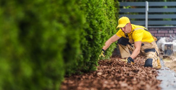 Cypress Mulch Installation in Livonia