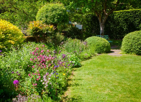 Yard Landscaping Service in Livonia