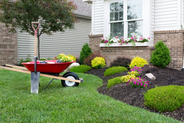 Tree And Shrub Planting in Livonia