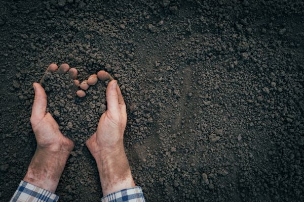 Soil Installation in Livonia