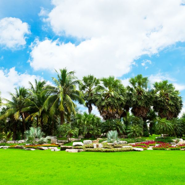 Tropical Landscaping in Livonia