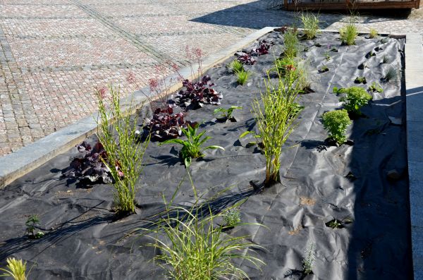 Landscape Fabric Installation in Livonia