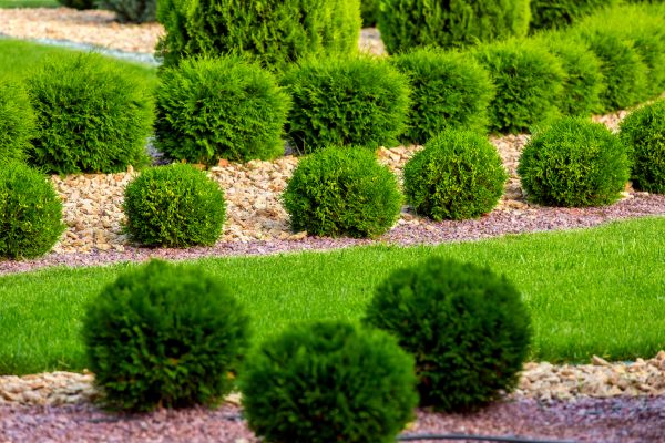 Bush Installation in Livonia