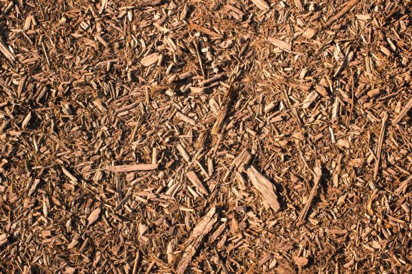 Wood Chips Removal in Livonia