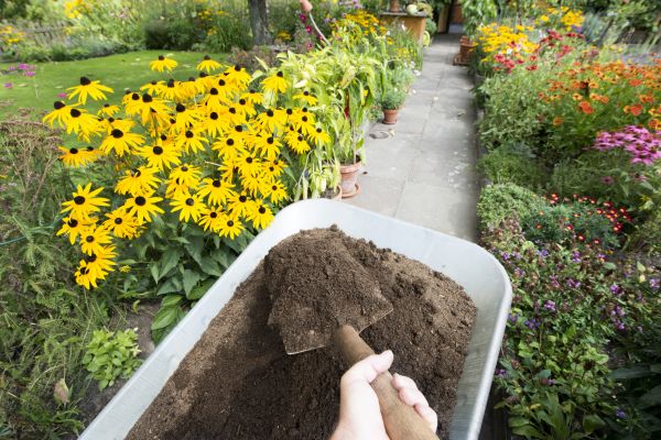 Topsoil Replacement in Livonia