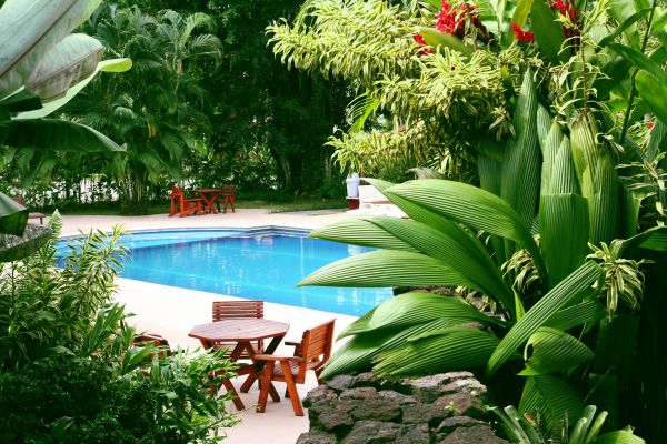 Pool Area Landscaping in Livonia