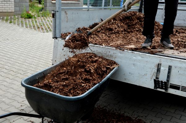 Playground Mulch Delivery in Livonia
