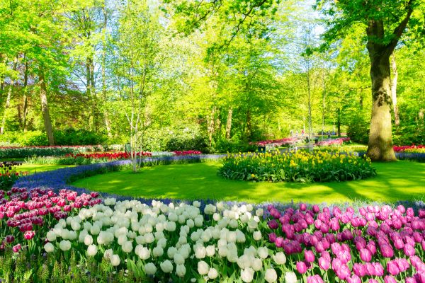 Flower Landscaping in Livonia