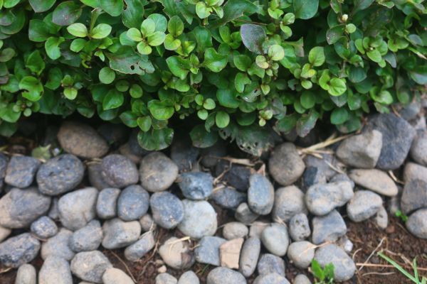 River Stone Installation in Livonia