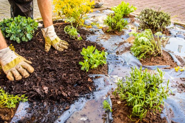 Mulch Fabric Installation in Livonia