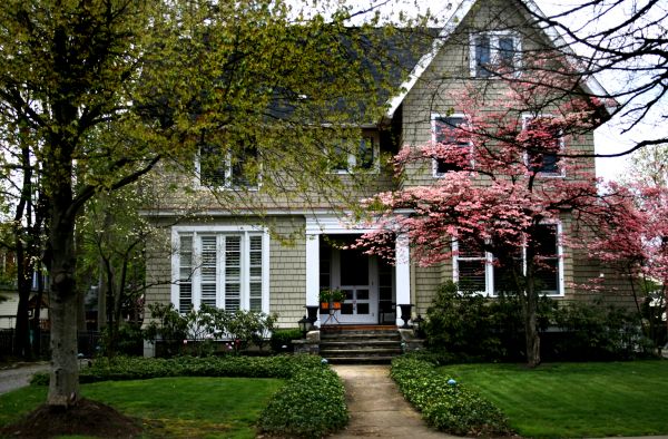 Ornamental Tree Planting in Livonia