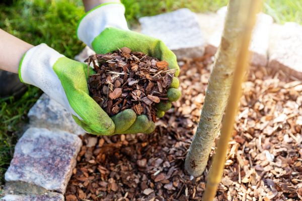 Tree Bark Delivery in Livonia