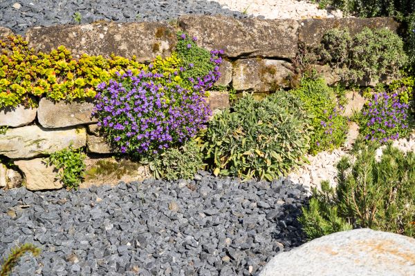 Landscaping Rocks Installation in Livonia