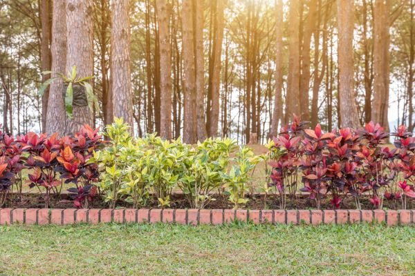 Small Garden Landscaping in Livonia