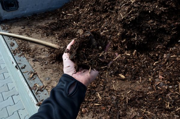 Condo Mulching in Livonia