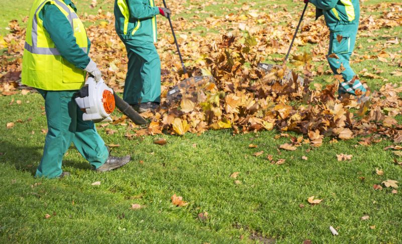 Leaf Raking Technique