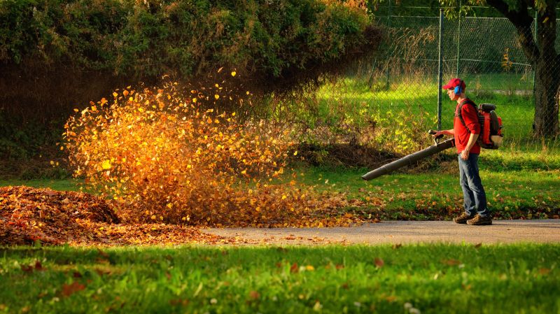 Leaf Removal Service Benefits