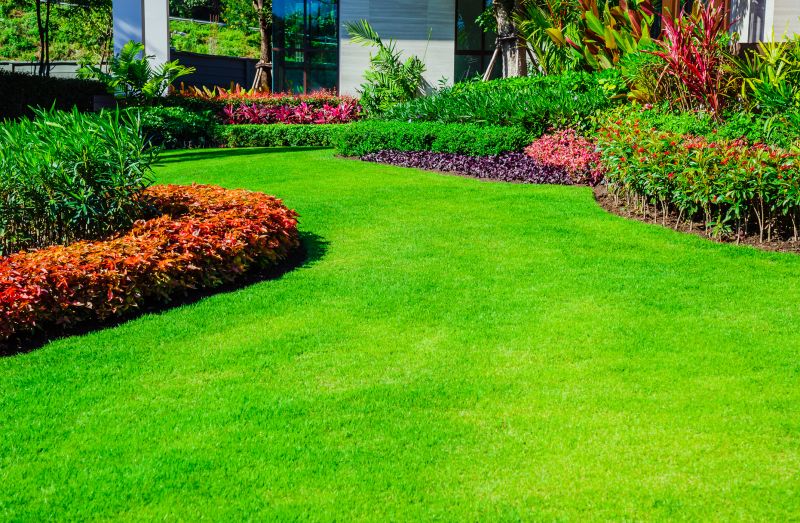 Lush Lawn and Shrubs
