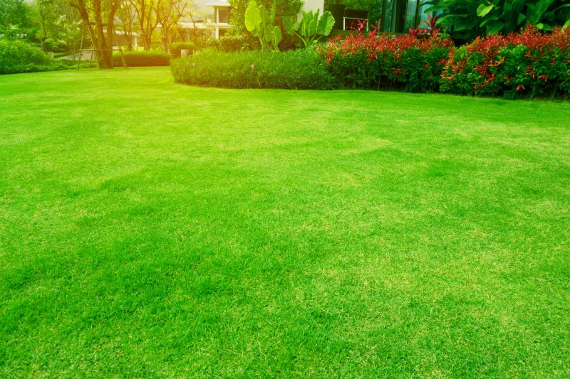 Lawn and Garden Maintenance